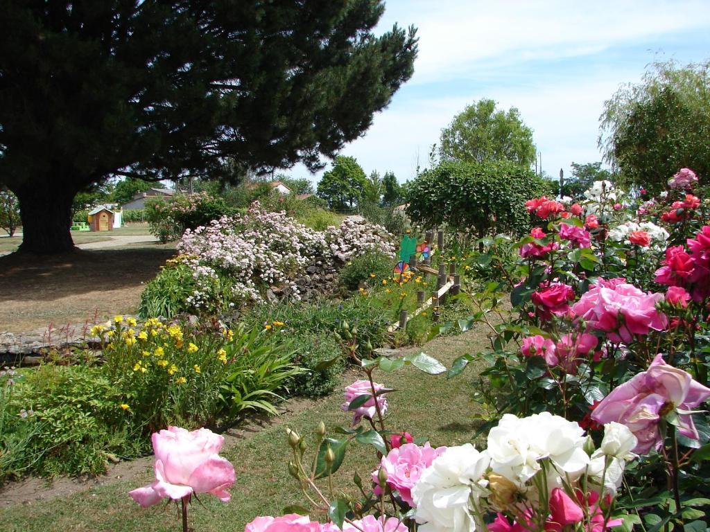Relais De La Riniere Bed and Breakfast Le Landreau Buitenkant foto
